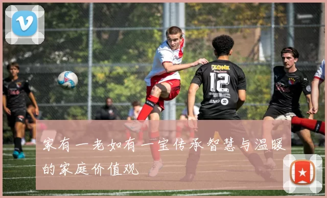 家有一老如有一宝传承智慧与温暖的家庭价值观