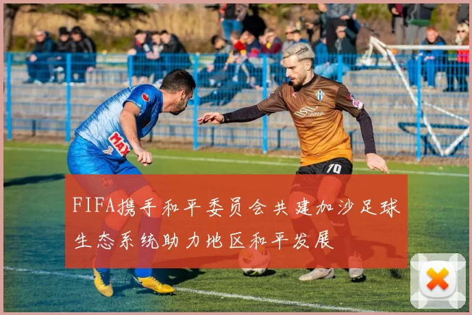 FIFA携手和平委员会共建加沙足球生态系统助力地区和平发展
